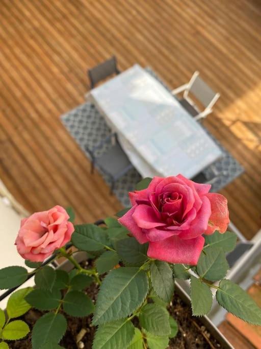 Maison Cosy A Hébergement de vacances